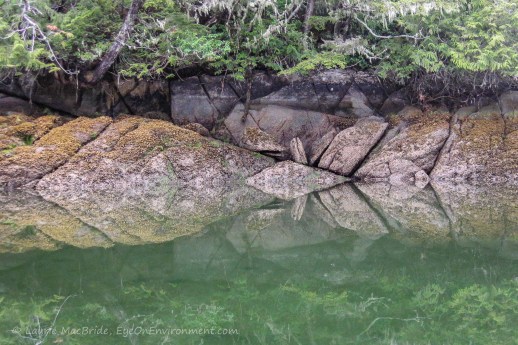 Totemic shore reflection