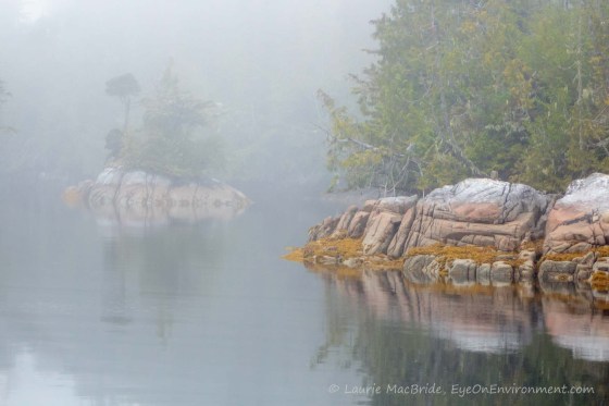 Skull Cove Morning foggy shoreline