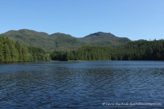 View of Village Cove