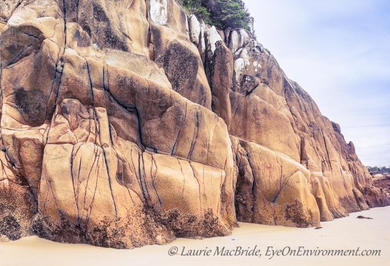 weathered cliff face on sandy beach