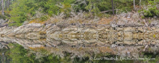 Reflections of shoreline with totemic shapes