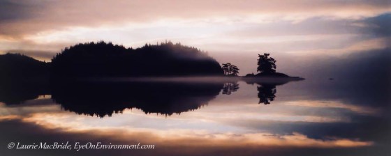 Silihouetted island, shrouded in fog, and sunrise reflected in water