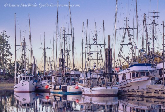 Fishboats at dock at dusk