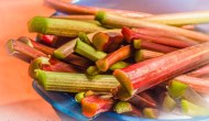 Of Rhubarb and Time&nbsp;Travel