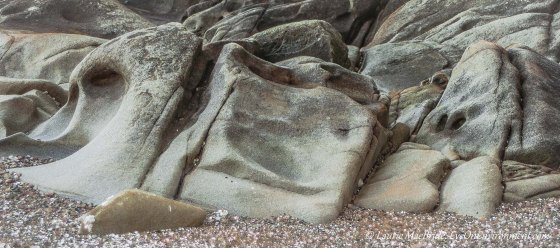 Eroded sandstone shapes on a beach