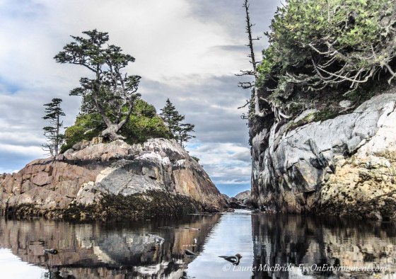 Two islets in the Southgate Group