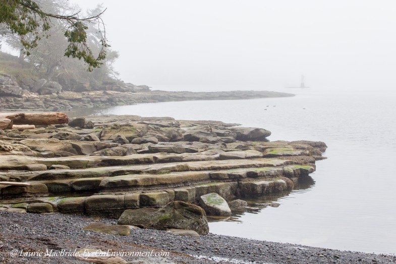 Lines of sandstone ledges in the fog