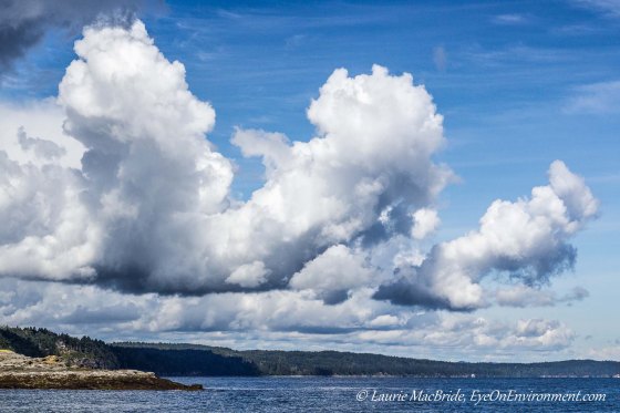 Clouds shaped like two birds flying