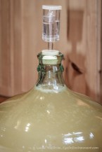 Yellow opaque liquid in carboy