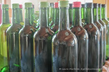 Rows of bottled wine