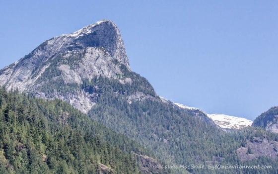 Princess Louisa's Welcome