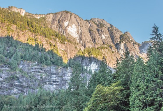 Mountain with sunlight at top, shade over the forest below