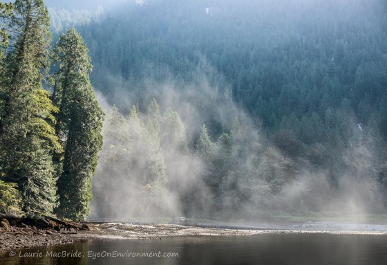 Sheets of mist from a waterfall in the forest, blasting out over the beach