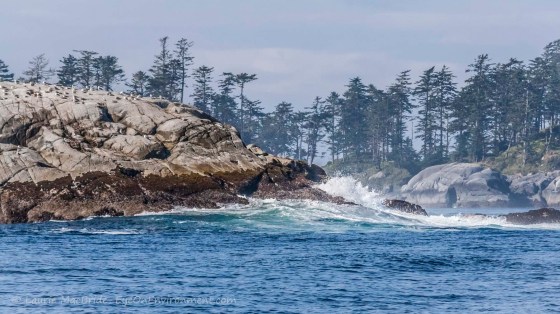Ocean swell landing on a group of small islands, with gulls.