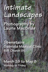 photography show poster