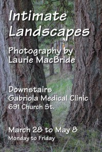 photography show poster