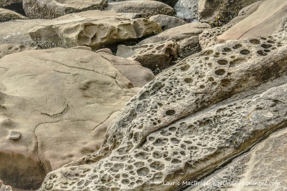 Eroded sandstone closeup