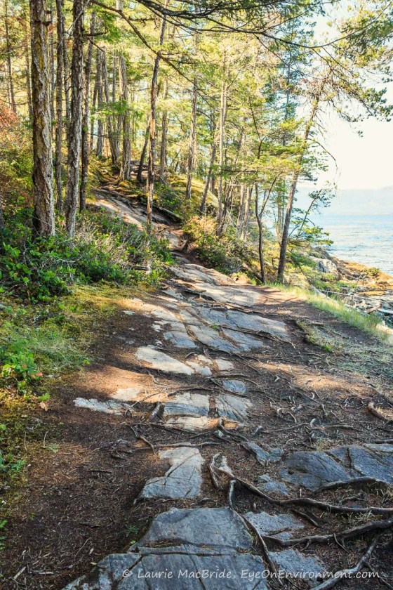 Seaside trail of stones along a bluff