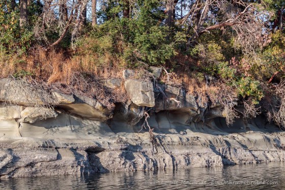 Detail of eroded shoreline with evening light