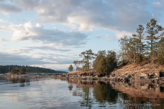 Evening light on an island shore