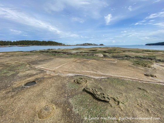 View across long sandstone beach