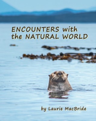 Front cover of Encounters With the Natural World